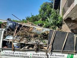 Best Construction Debris Removal  in Heyville, AL