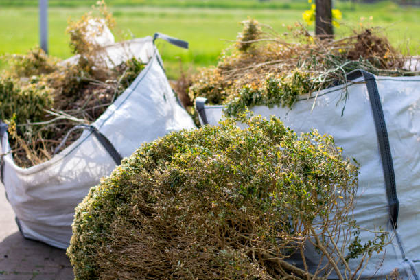 Best Recycling Services for Junk  in Heyville, AL